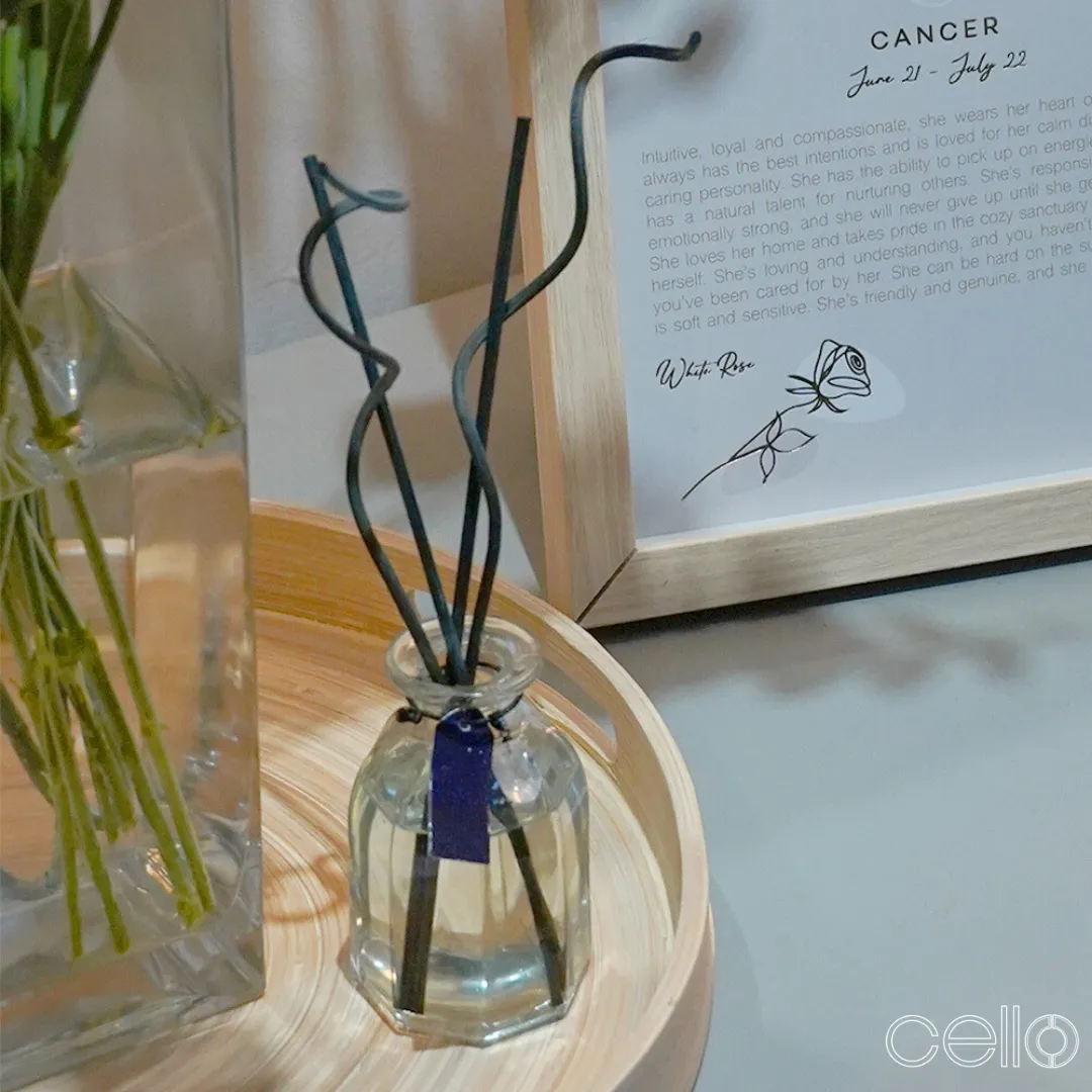 Cello Zodiac Reed Diffuser - Aquarius with Amethyst - Arcane Oceans