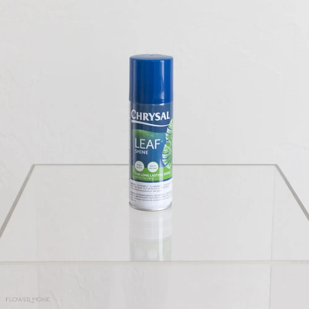 Chrysal Leaf Shine Spray