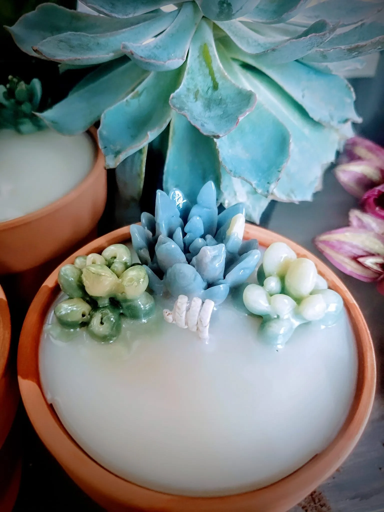 Citronella Candle | Succulent