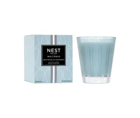 Driftwood & Chamomile 8.1oz. Classic Candle by Nest New York