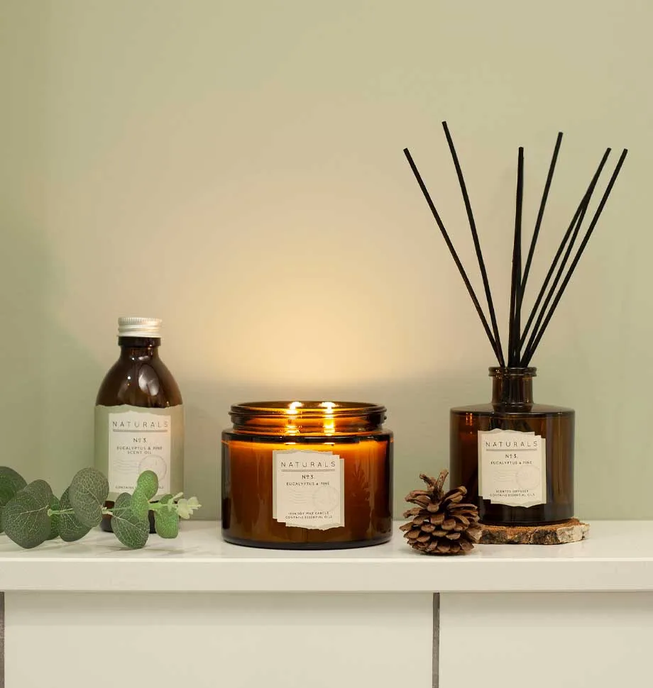 Eucalyptus & Pine Diffuser In Gift Box