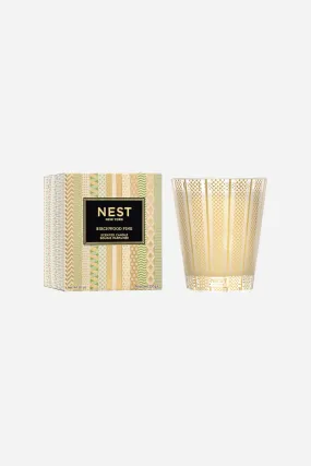 Nest Birchwood Pine Classic Candle