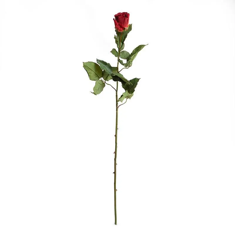 Rose Stem, 31" - Red