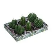 Set of 6 Cacti Tealights