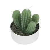 Set of 6 Cacti Tealights