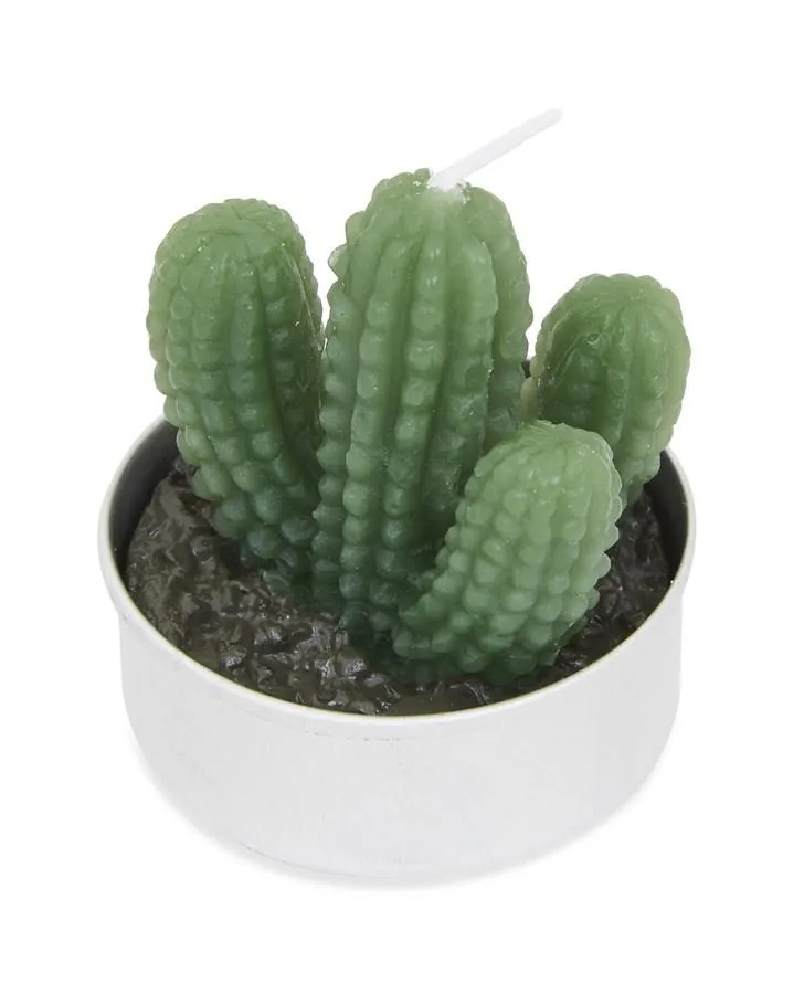 Set of 6 Cacti Tealights