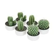 Set of 6 Cacti Tealights