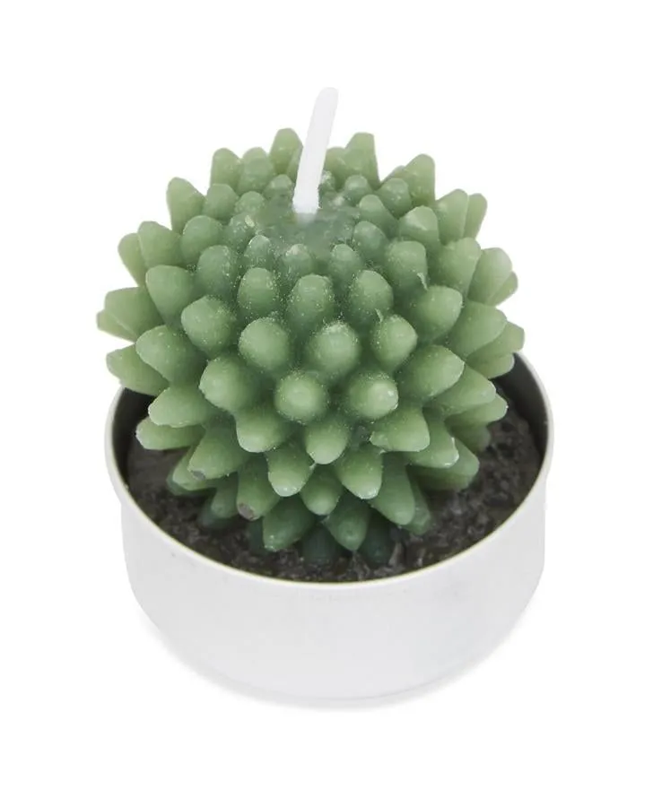 Set of 6 Cacti Tealights