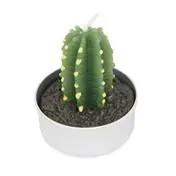 Set of 6 Cacti Tealights