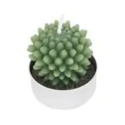 Set of 6 Cacti Tealights